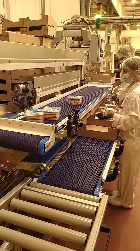 Estación de encajadora manual MG Tech