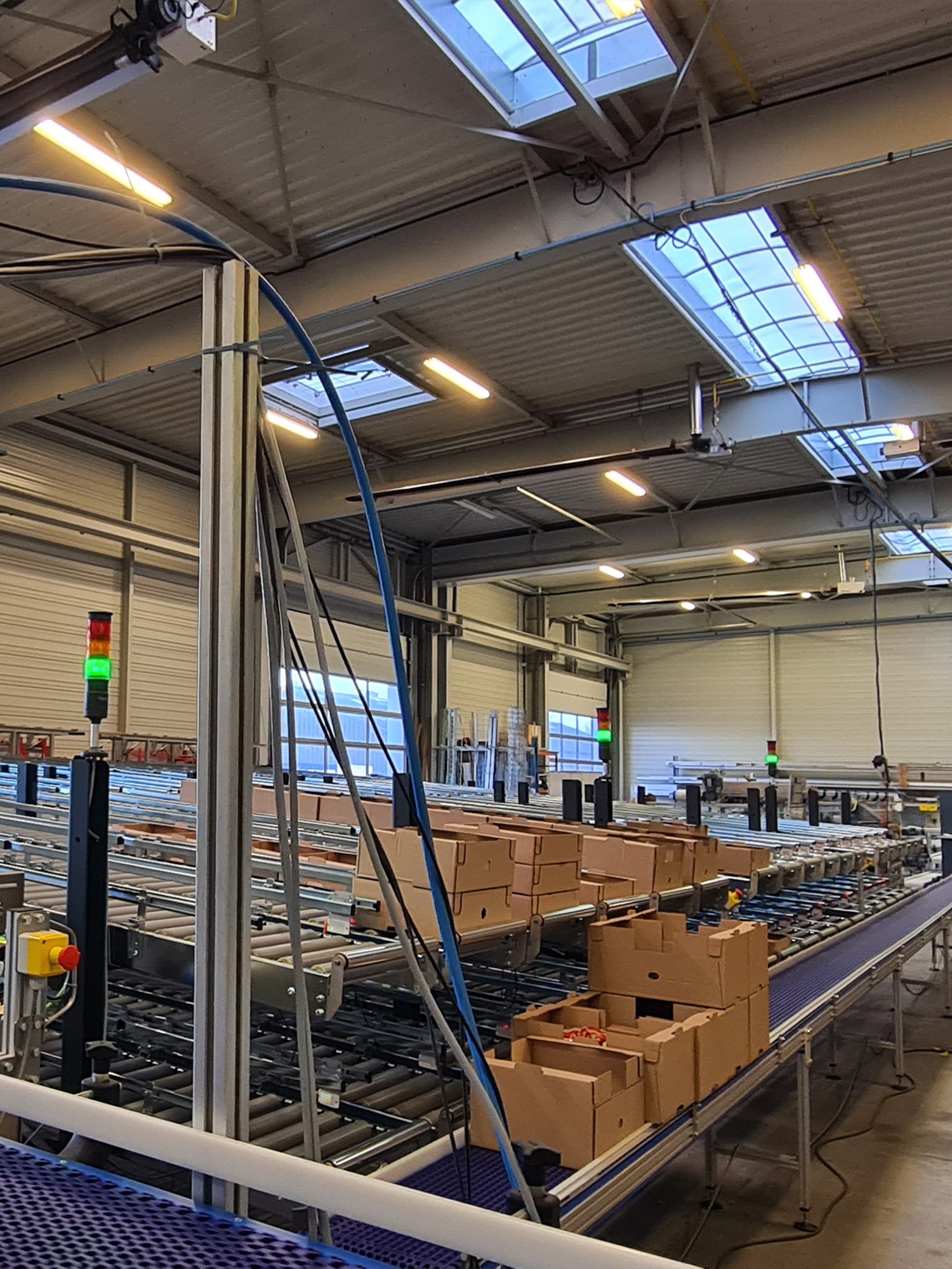 MG Tech case conveying - Manual picking station