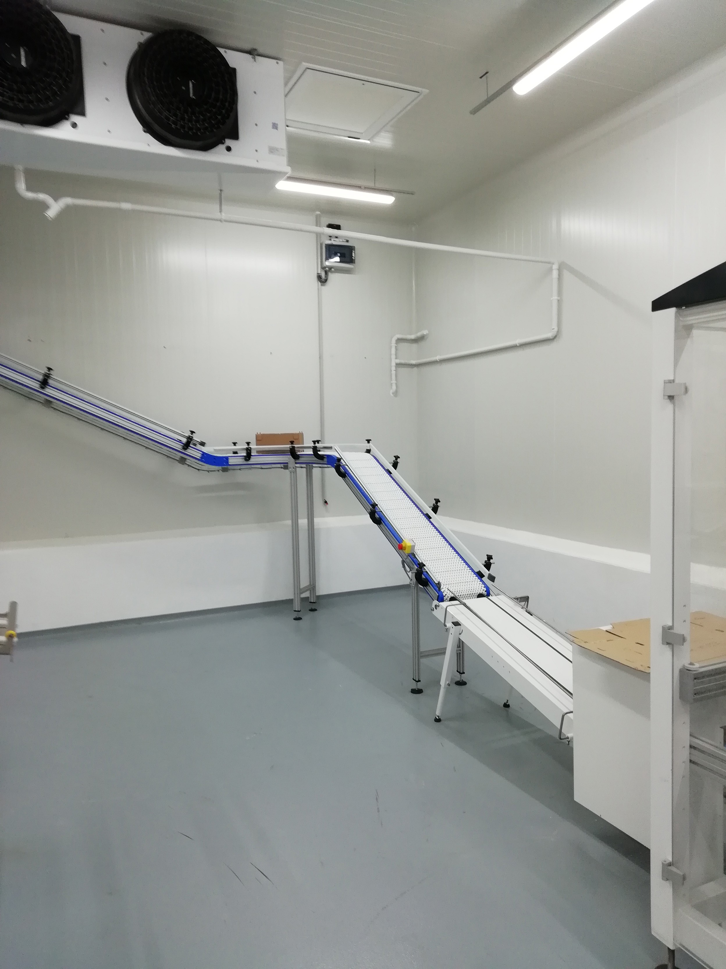 CONVOYEUR DE CARTONS DE FRUITS & LEGUMES MG TECH