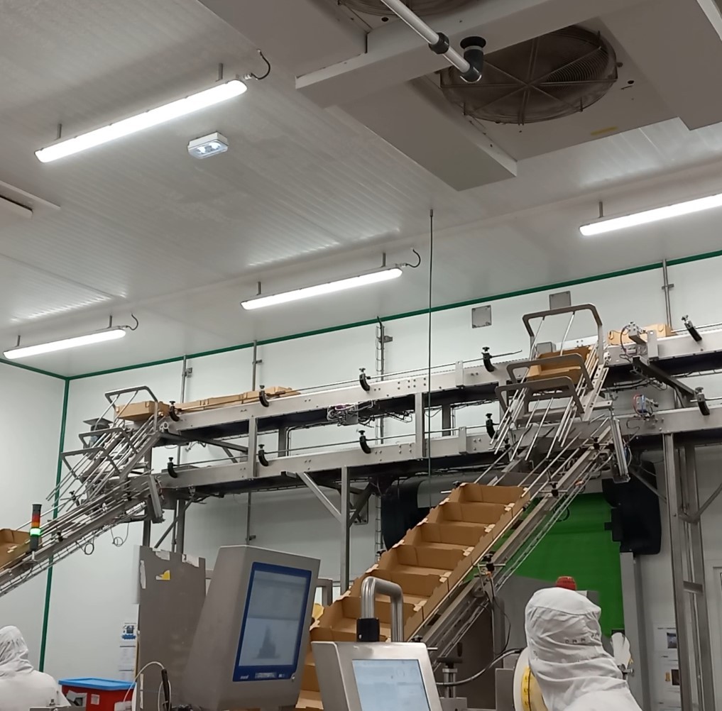 EQUIPOS DE ENVASADO DE FINAL DE LÍNEA MG TECH PARA PESCADERÍA