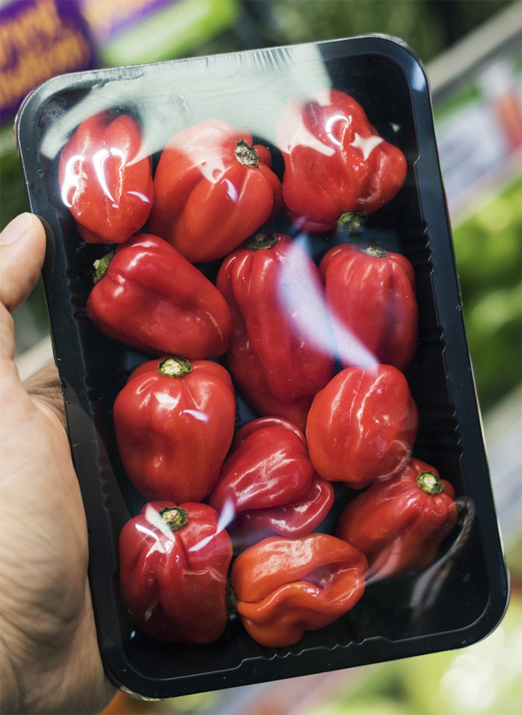 EQUIPOS DE ENVASADOS DE FRUTAS Y VERDURAS MG TECH