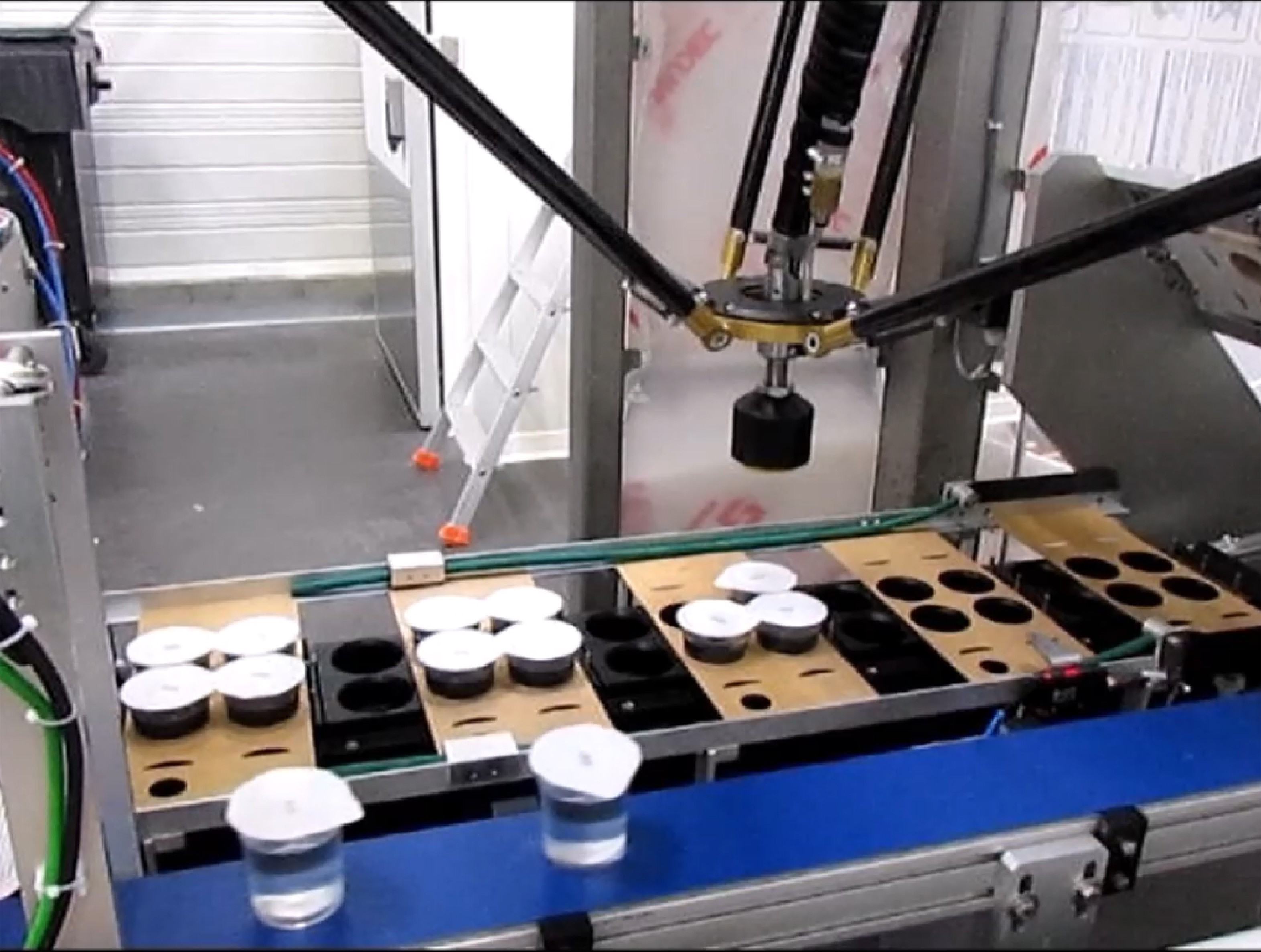 ESTUCHADORA MG TECH PARA LA INDUSTRIA DE PRODUCTOS LACTEOS