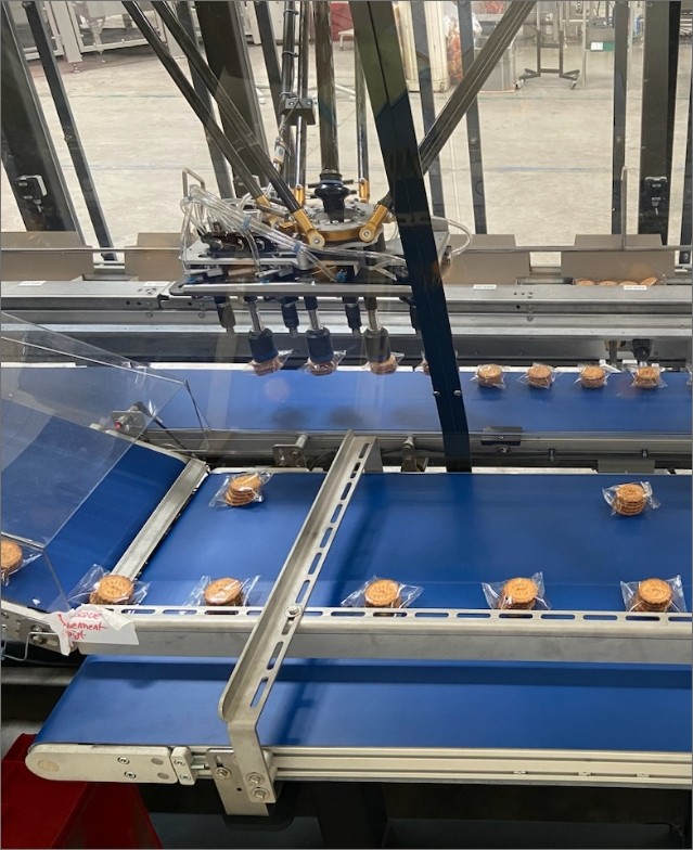 MG TECH CARTONING MACHINE FOR BAKERY INDUSTRY