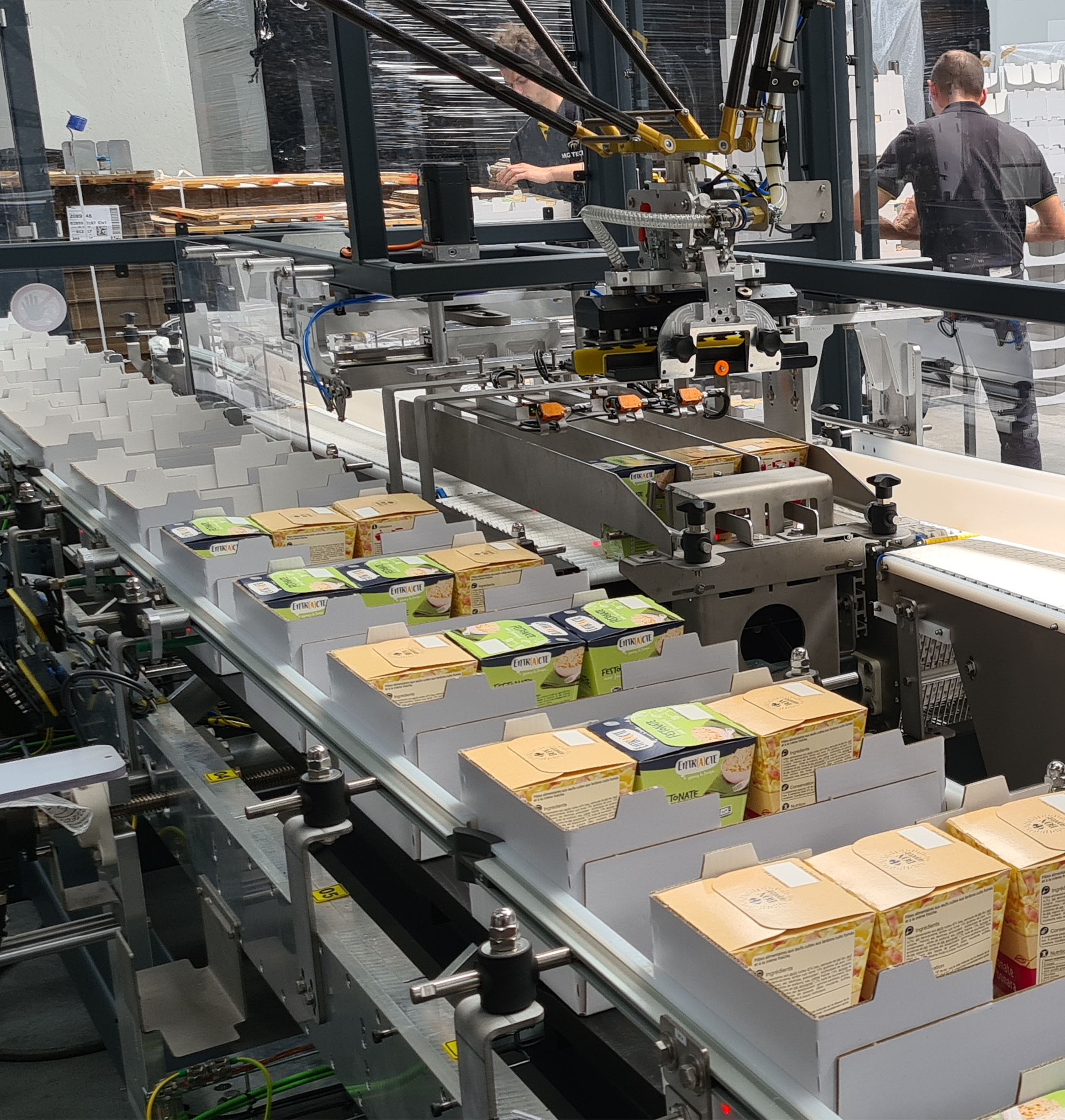 MG Tech PM-TL100 top load case packer