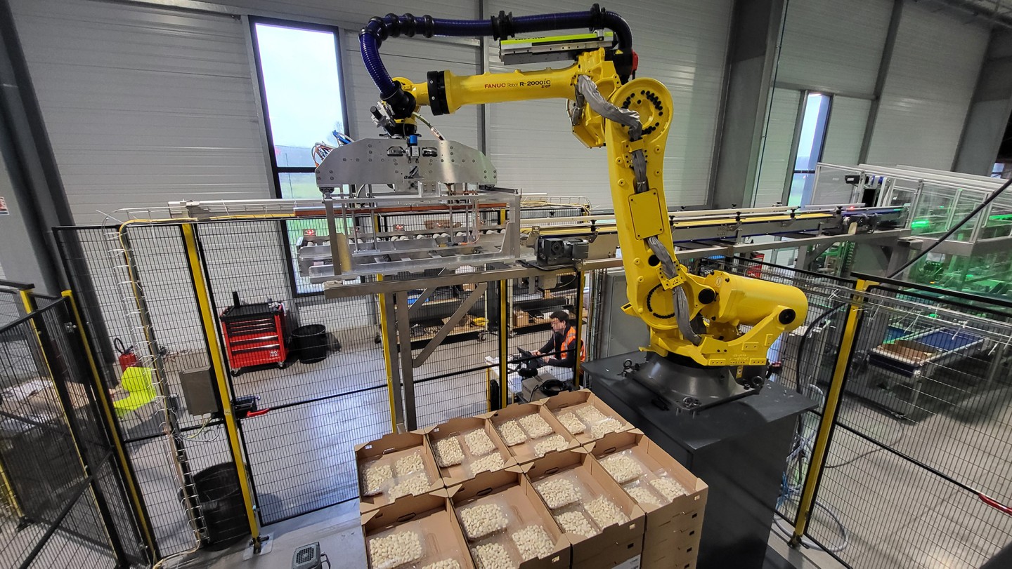 Case study - Palletizers for seafood products